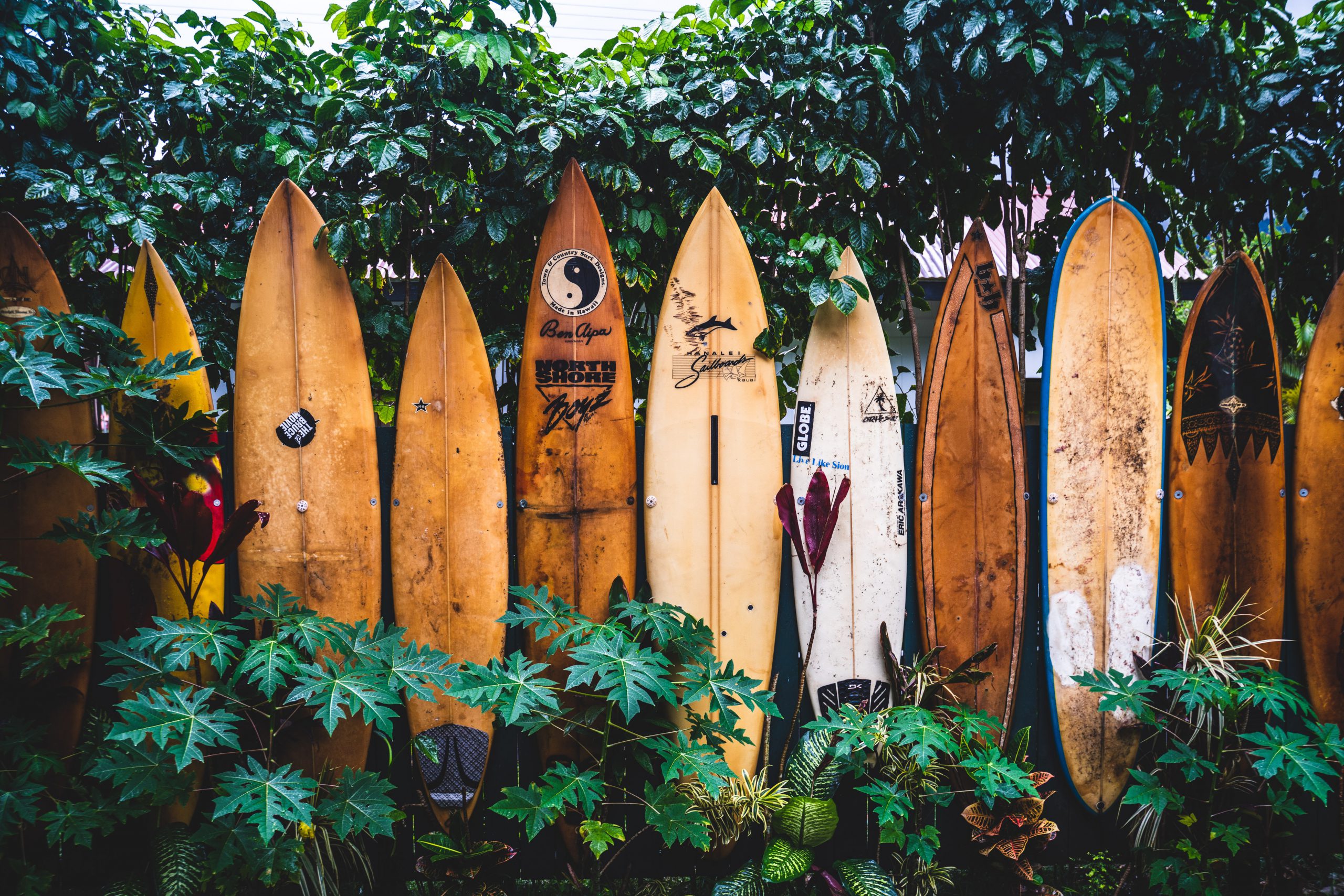 Tablas de surf antiguas